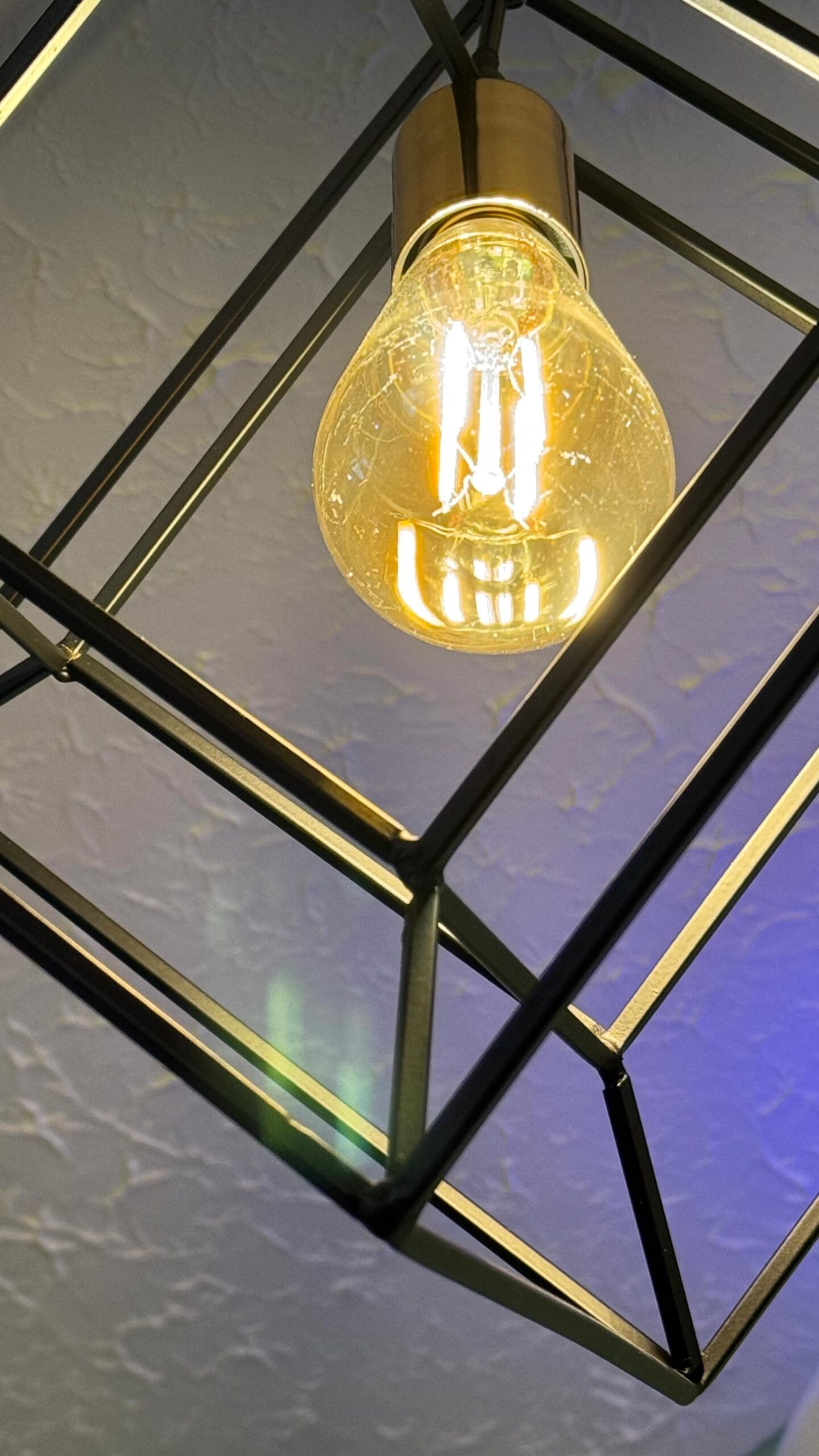 la-doña-fotos-vertical-3