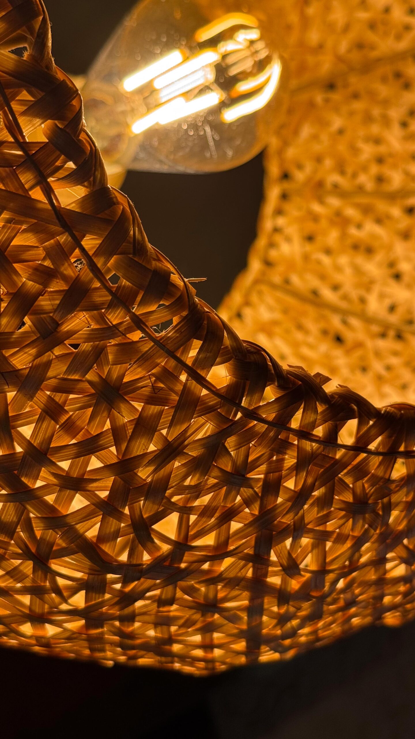 la-doña-fotos-vertical-8