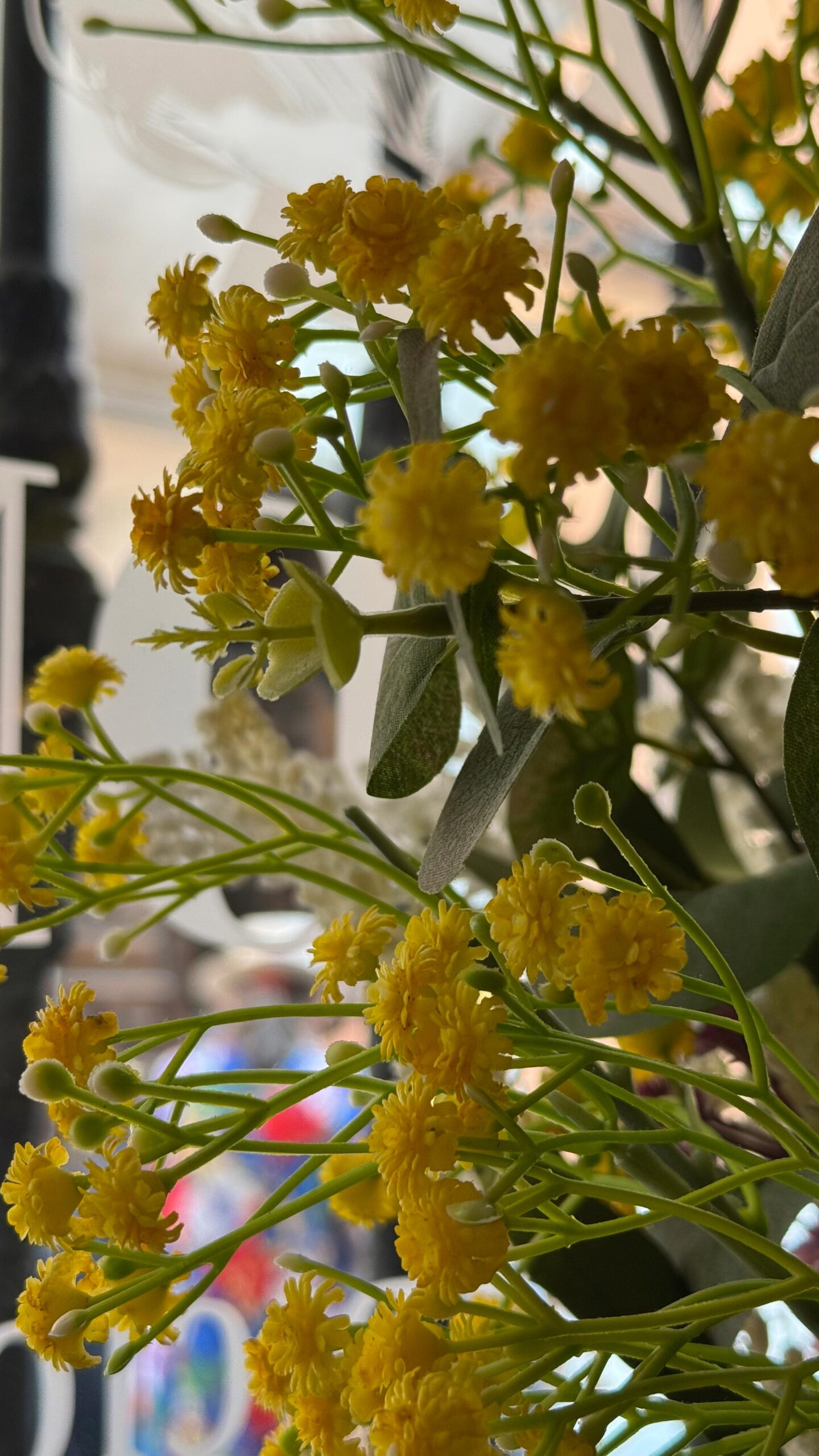 la-doña-fotos-vertical-9